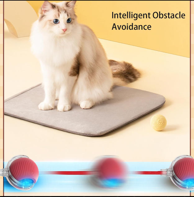 Best toys for indoor cats — interactive cat toys guide by PawsomeHaven