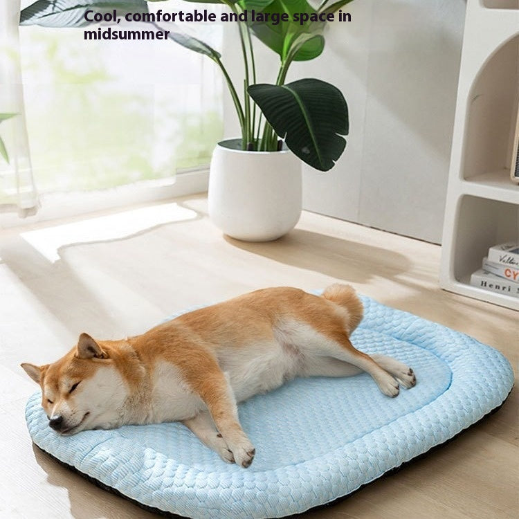 Elevating Your Pet’s Daily Routine with PawsomeHaven