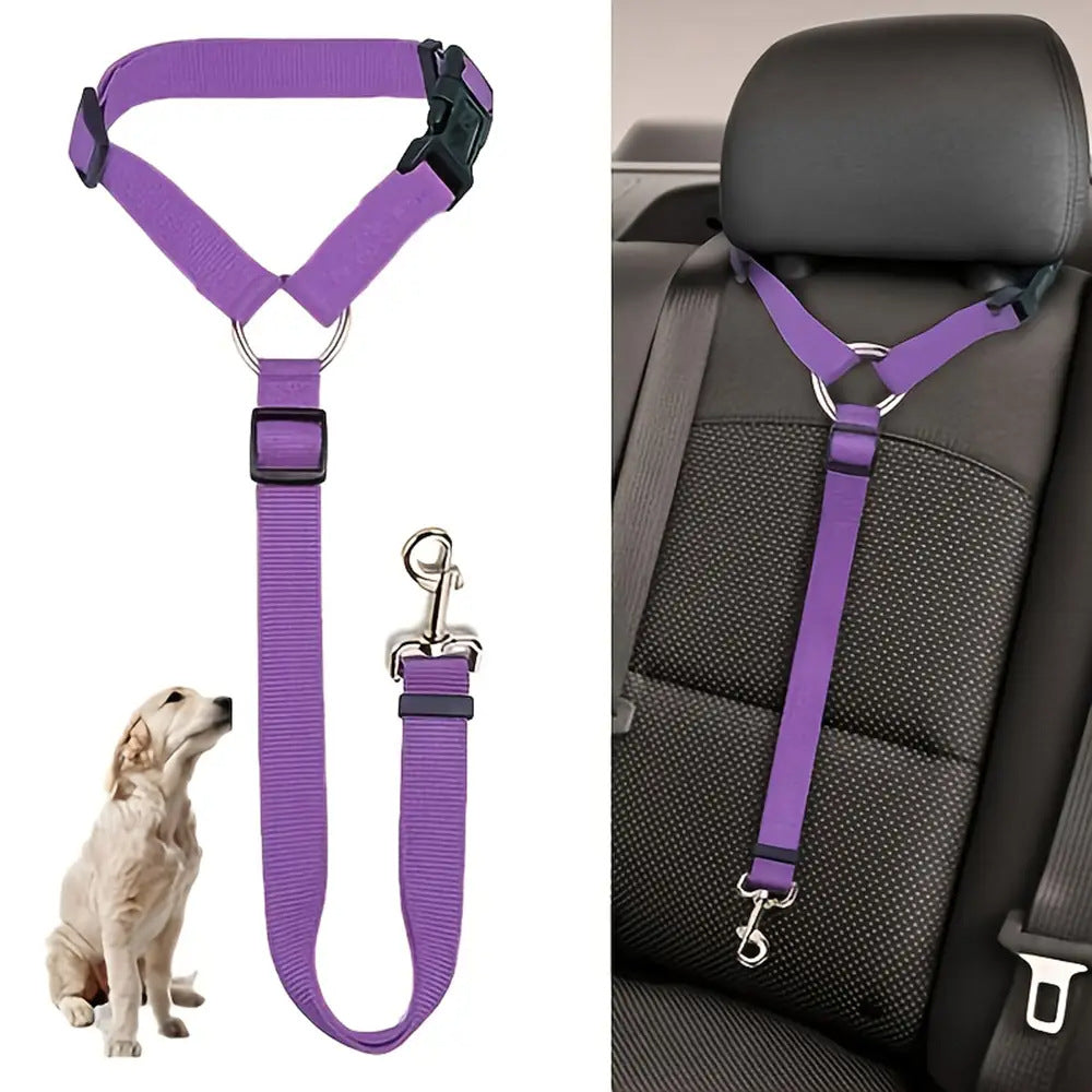 How to Keep Your Dog or Cat Safe During Car Travel