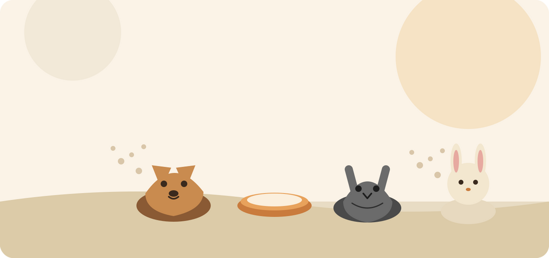 5 Simple Habits That Keep Dogs, Cats, and Rabbits Happier and Healthier