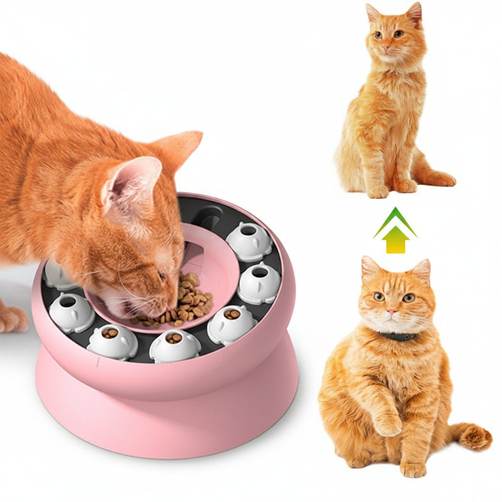 Why Interactive Slow Feeder Puzzle Bowls Are Great for Cats