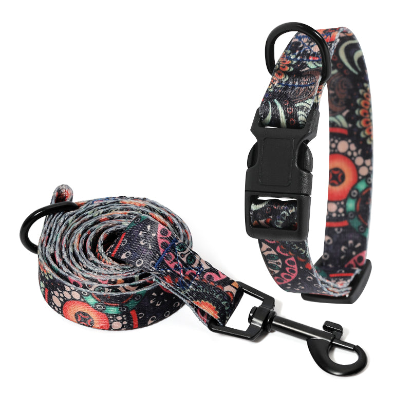 PawStyle Wizard of Oz collar and leash set