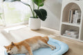 Large blue breathable cooling mat for dogs resting on a wooden floor.