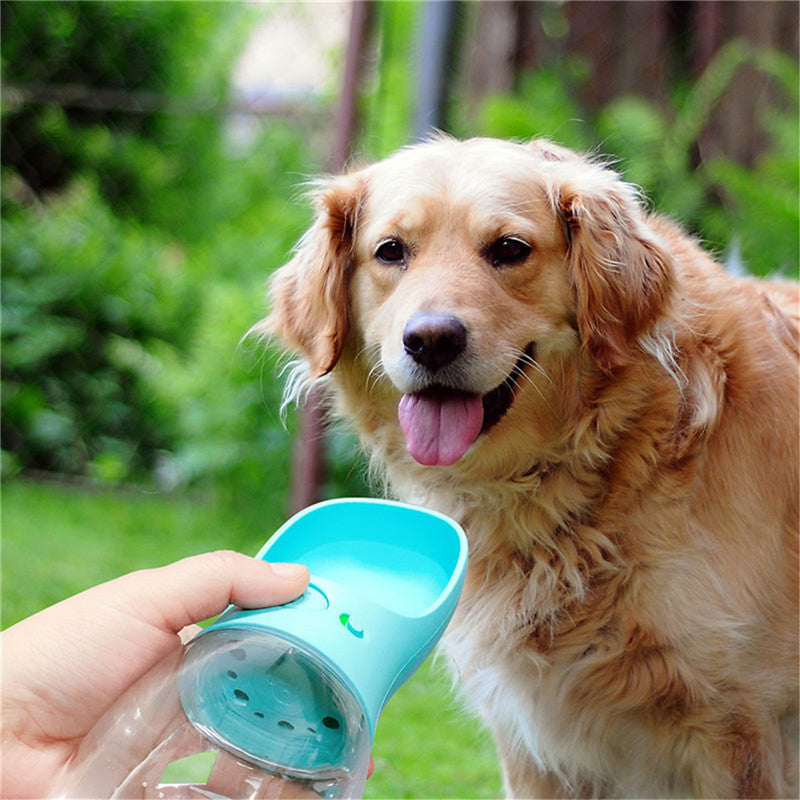 Portable water bottle for dogs and cats during outdoor walks