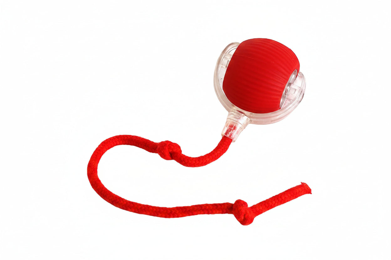 Interactive ball features showing auto-rotation for pets