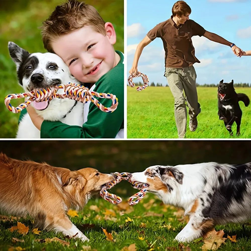 Smart interactive pet toy ball with obstacle avoidance feature