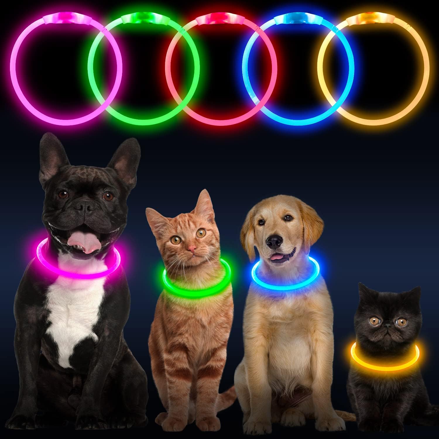 PawGlow™ LED dog collar available in multiple bright colours