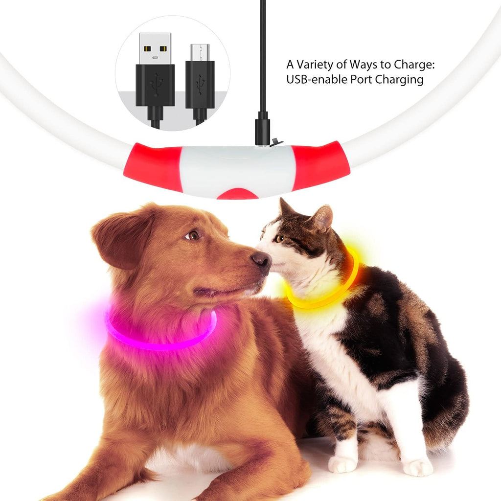 PawGlow™ LED dog collar with USB rechargeable charging cable