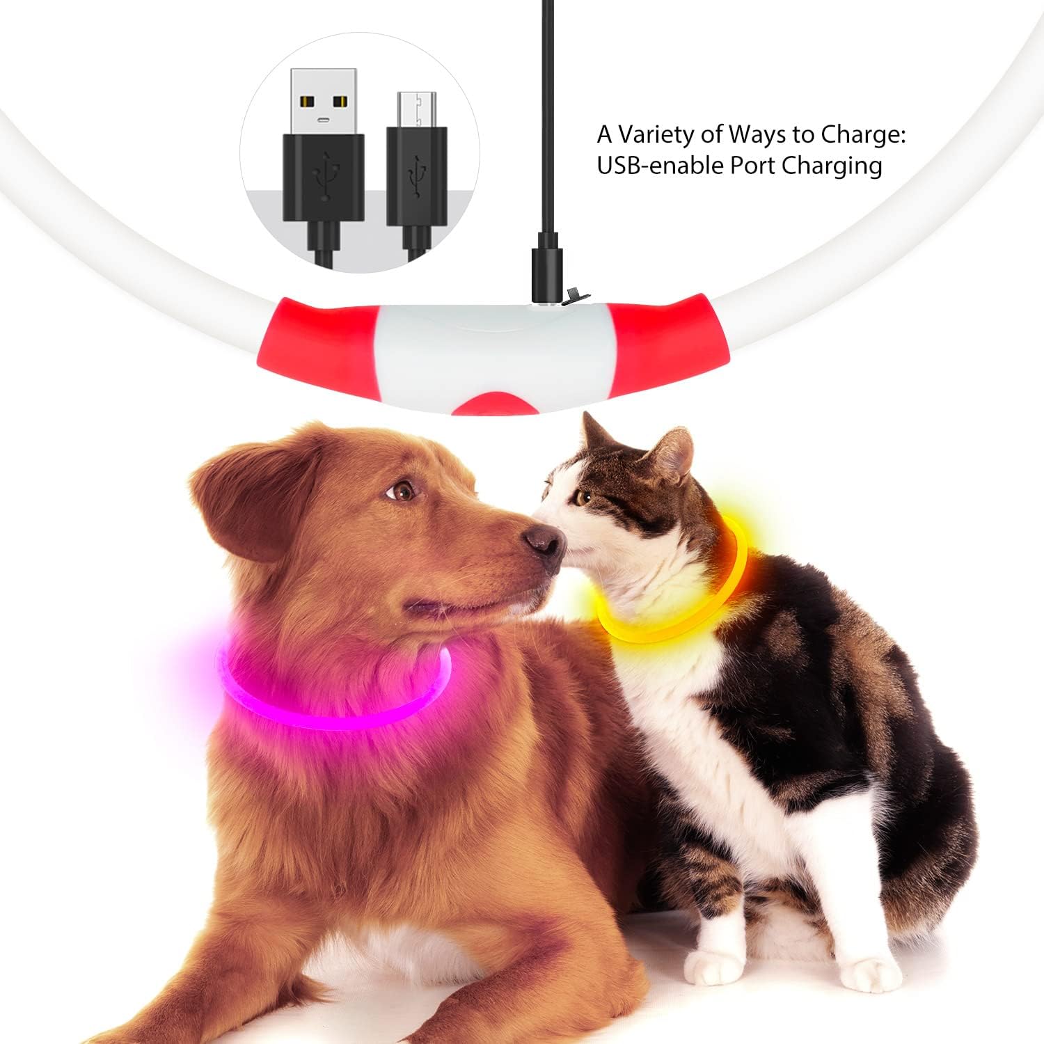 PawGlow™ LED dog collar with USB rechargeable charging cable
