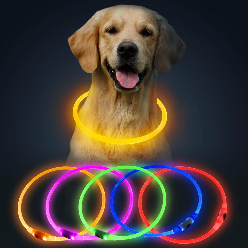 Golden Retriever wearing the yellow PawGlow™ LED dog collar