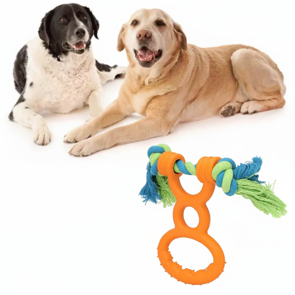 PawGrip™ dog toy showing key features and textured grip