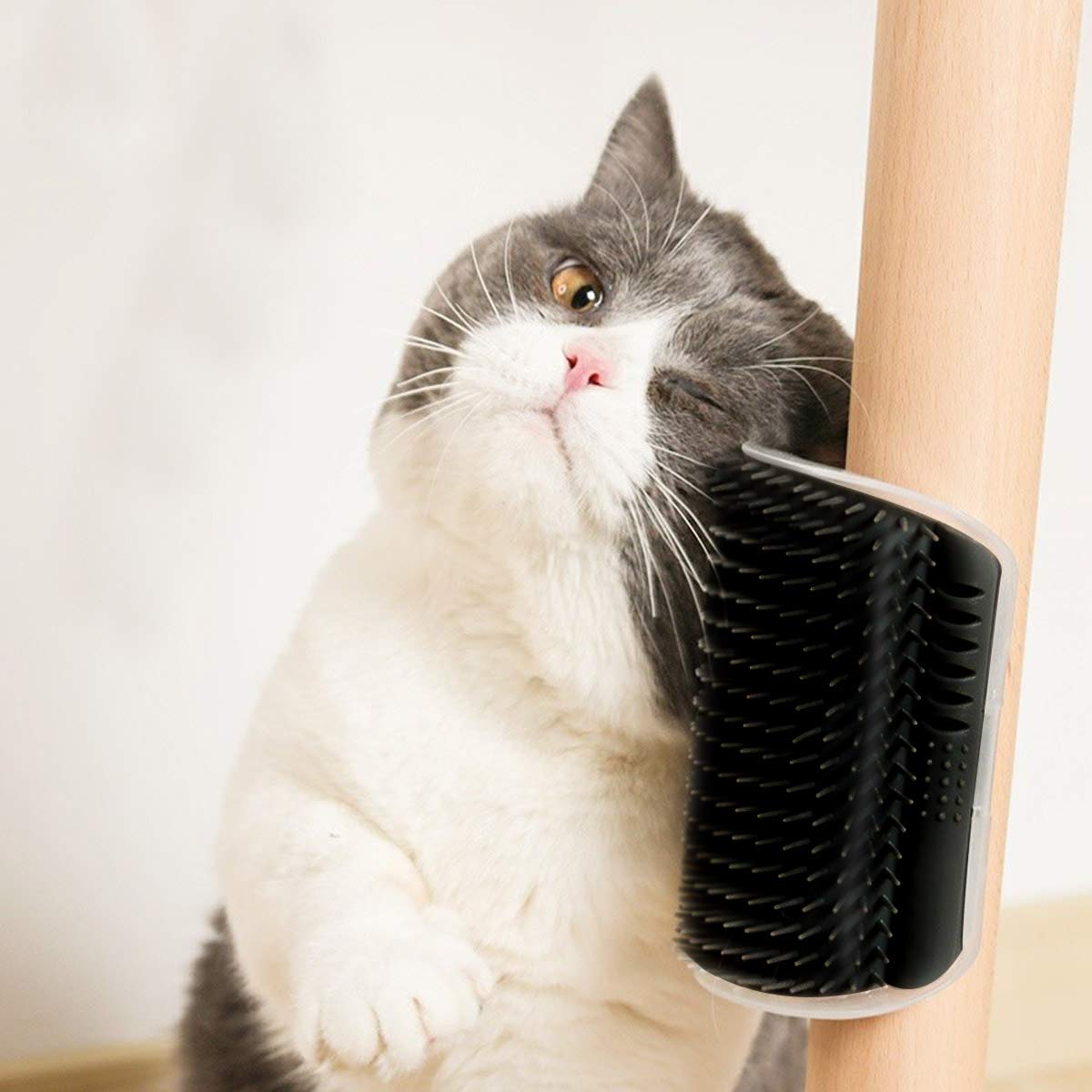 PawGroom™ self-grooming corner brush product close-up