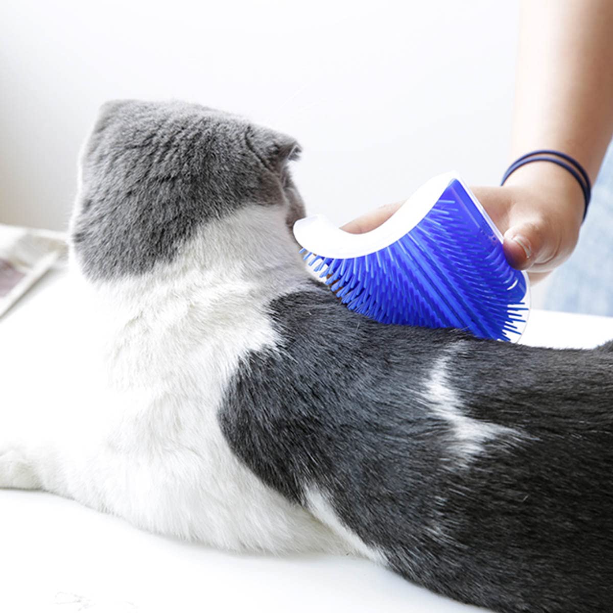 Easy-to-install PawGroom™ corner grooming brush for cats