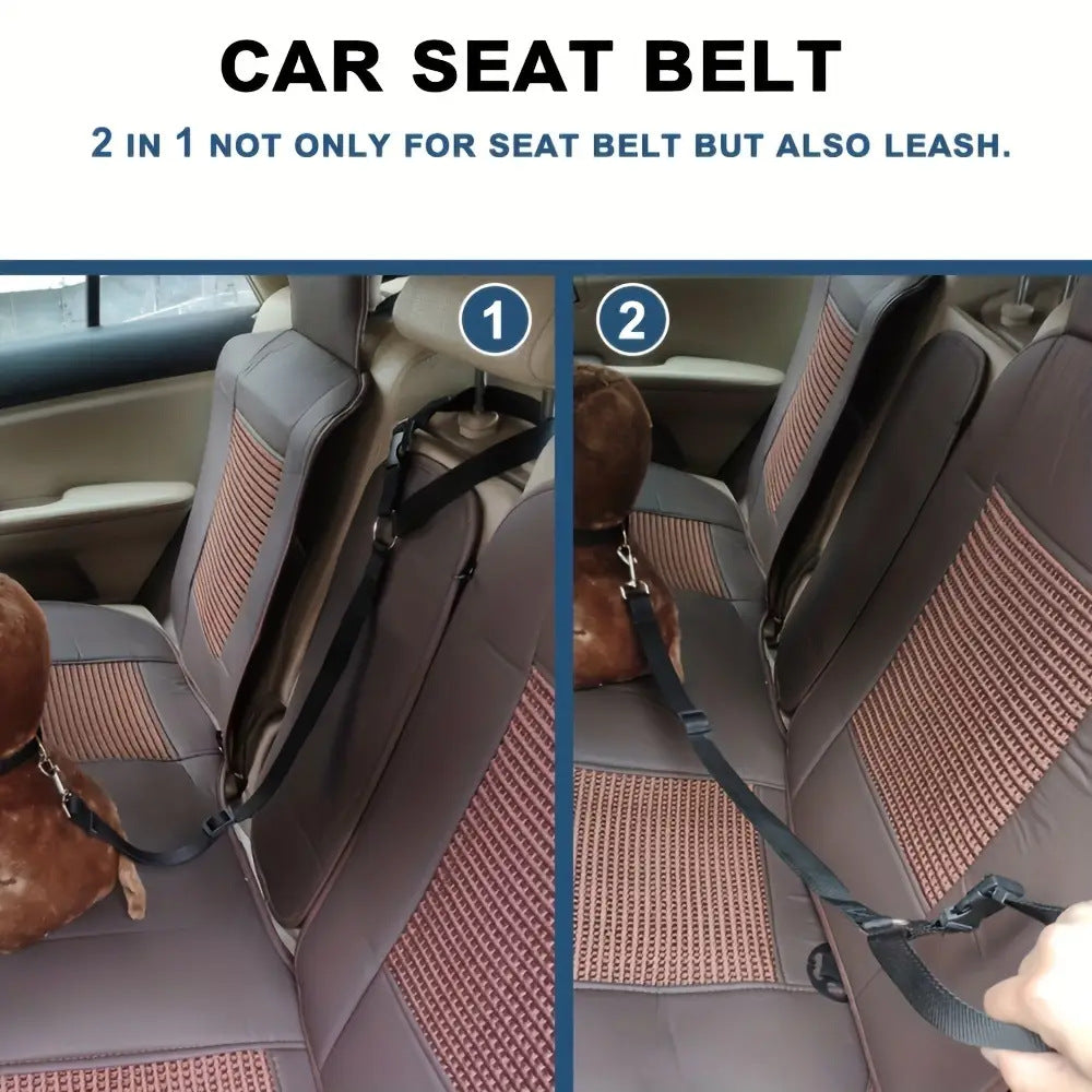 Demonstration of the PawRide™ 2-in-1 pet car safety seat belt fitted in a car