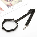 PawRide™ pet car seat belt harness attachment with adjustable nylon strap