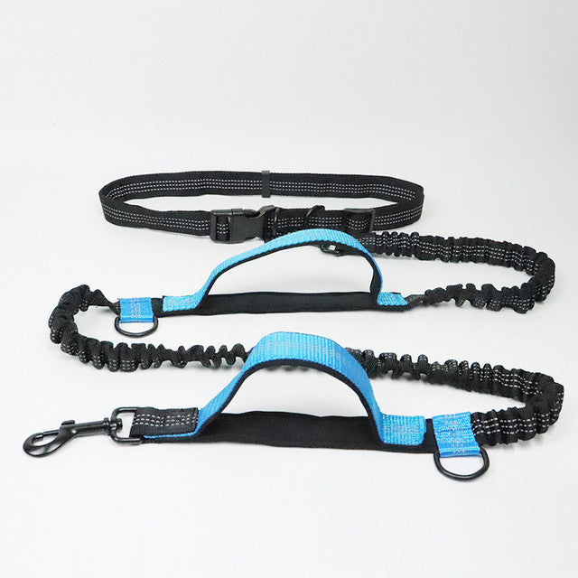 Light blue PawRun™ hands-free adjustable dog jogging leash