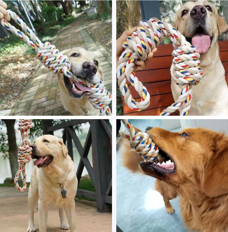 Selection of interactive rope and motion toys from PawsomeHaven