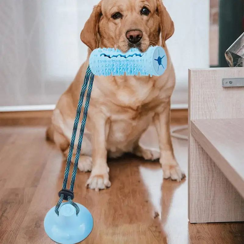 PawTug™ suction cup dog toy securely attached to a smooth floor for tug play.