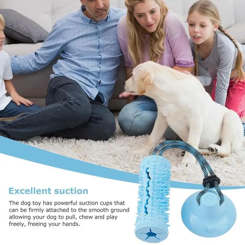 Detailed view of the PawTug™ interactive pet toy showing the suction cup and chew section.