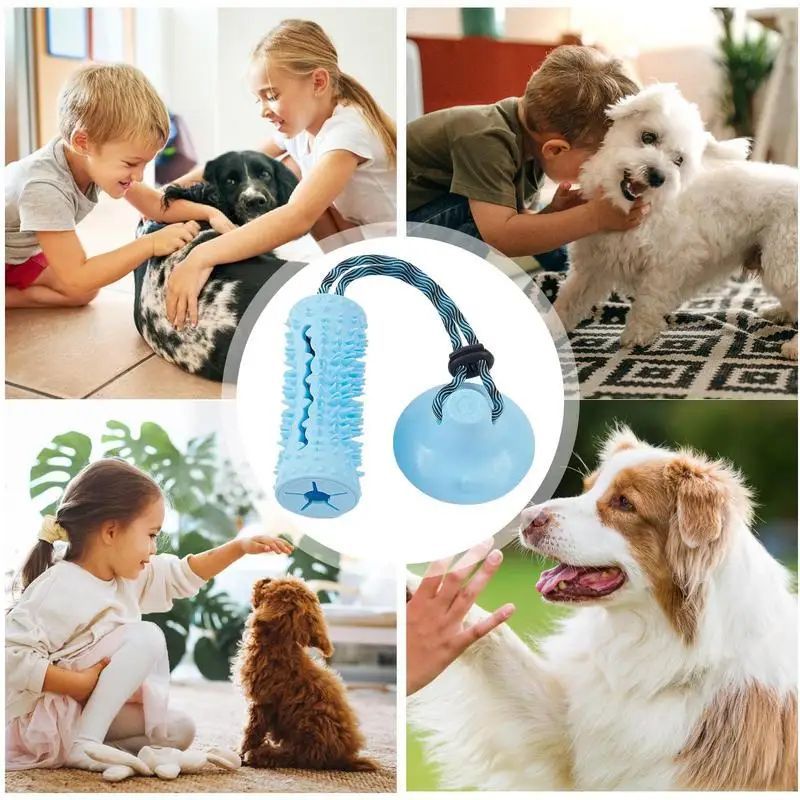Close-up of the PawTug™ treat dispensing dog toy with textured chew surface.