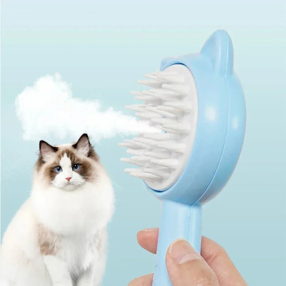 Blue cat brush with soft bristles grooming fluffy Ragdoll cat, removing loose fur