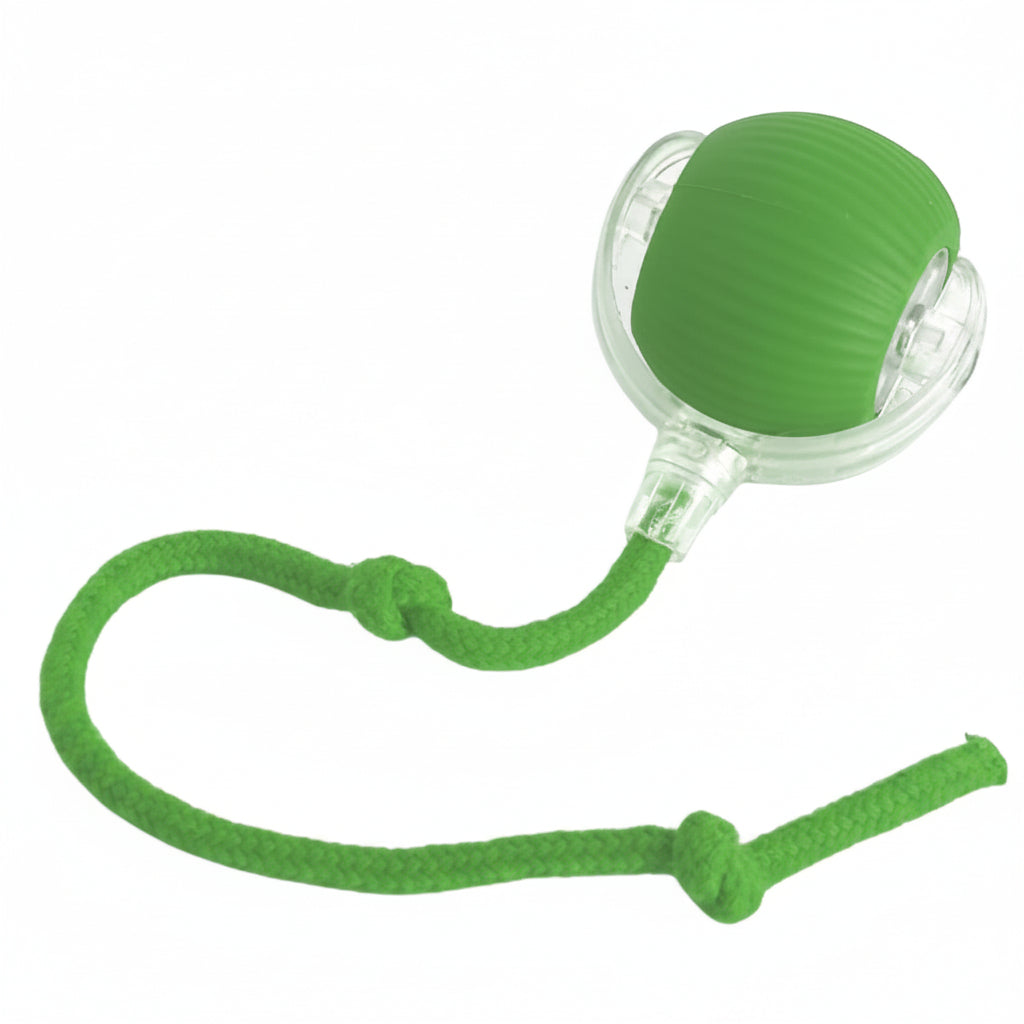 A happy dog playing with PawsomePlay interactive smart ball