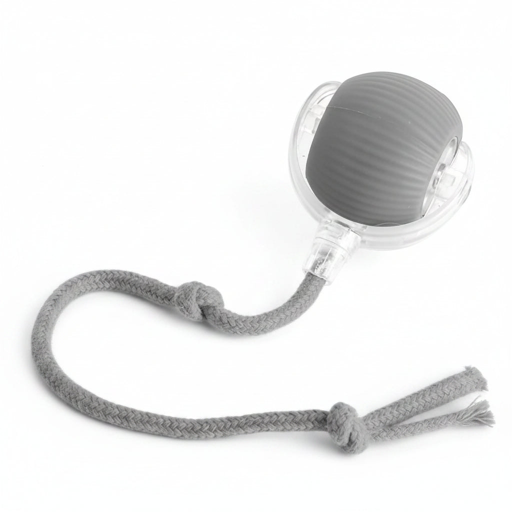 Smart auto-moving ball toy keeping cat entertained