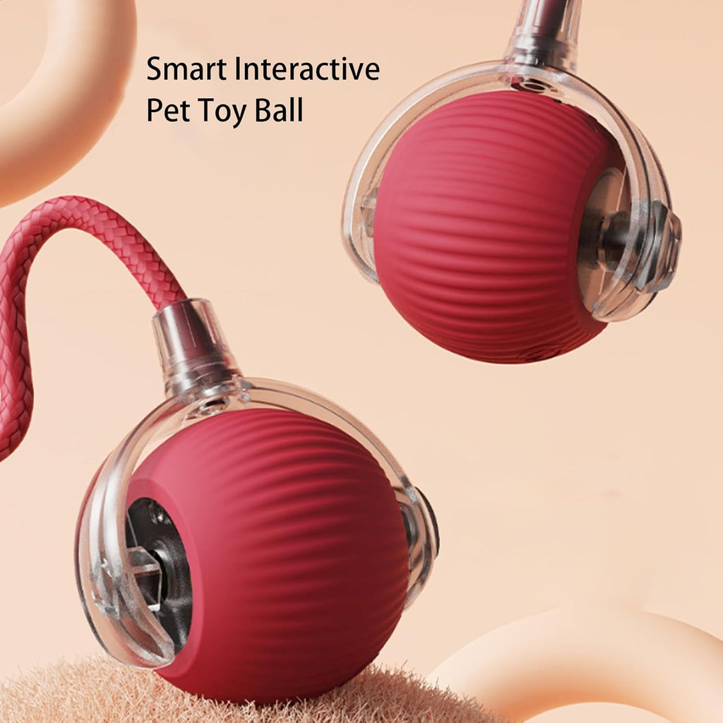 Smart auto-moving ball toy keeping cat entertained